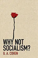 Why Not Socialism? - stevensbooks