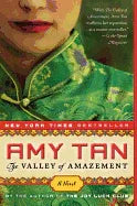 The Valley of Amazement - stevensbooks