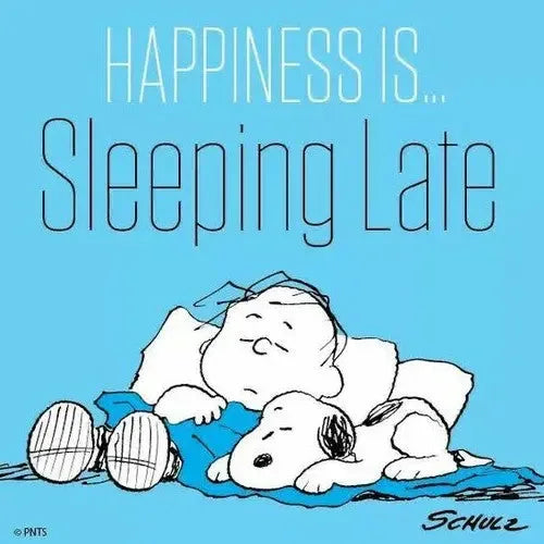 Woman Evolve: Break Up with Your Fears and Revolutionize Your Life - stevensbooks