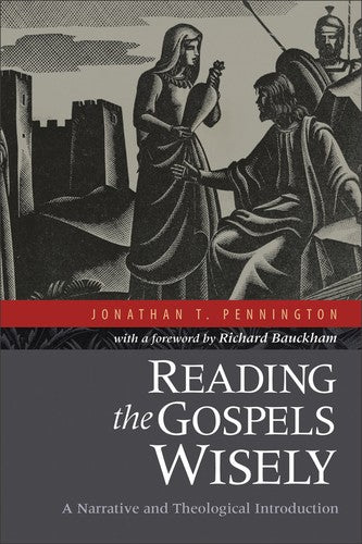 Cover of Reading the Gospels Wisely: A Narrative and Theological Introduction