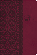 Study Bible-KJV