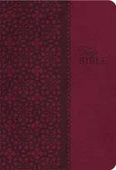 Study Bible-KJV - stevensbooks