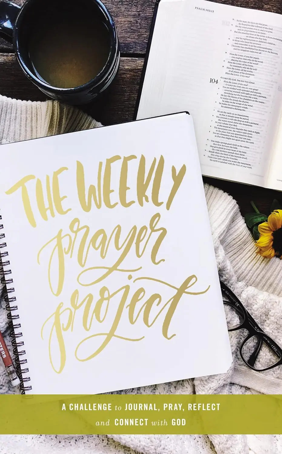 Weekly Prayer Project: A Challenge to Journal, Pray, Reflect, and Connect with God Stevens Books