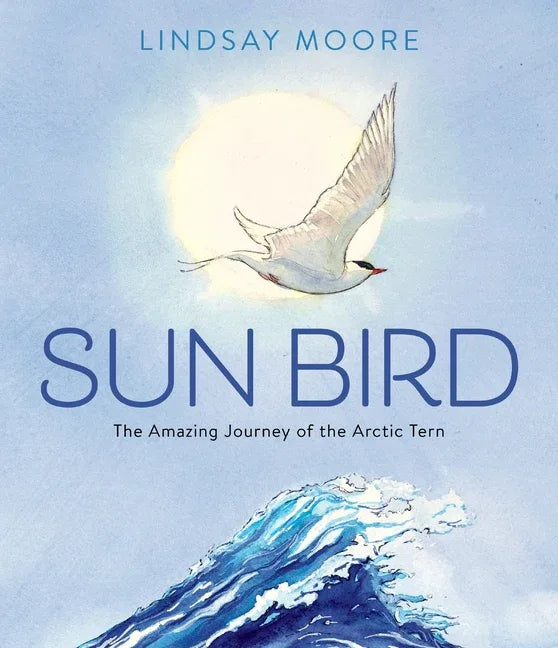 Sun Bird: The Amazing Journey of the Arctic Tern - stevensbooks