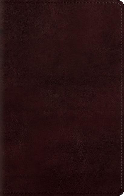 Large Print Personal Size Bible-ESV - stevensbooks