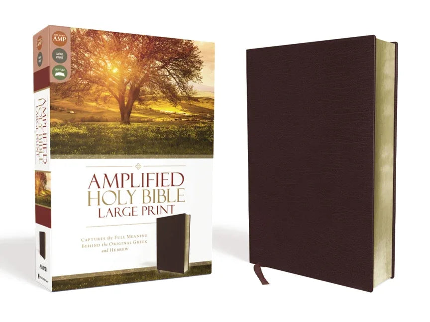 Amplified Bible-Am-Large Print: Captures the Full Meaning Behind the Original Greek and Hebrew - stevensbooks