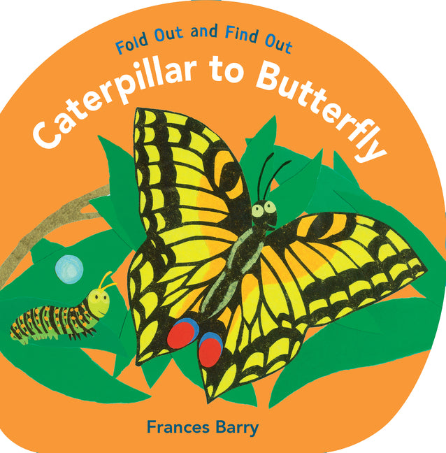 Caterpillar to Butterfly: Fold Out and Find Out - Ingram