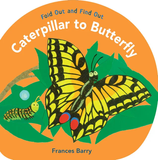 Caterpillar to Butterfly: Fold Out and Find Out - stevensbooks