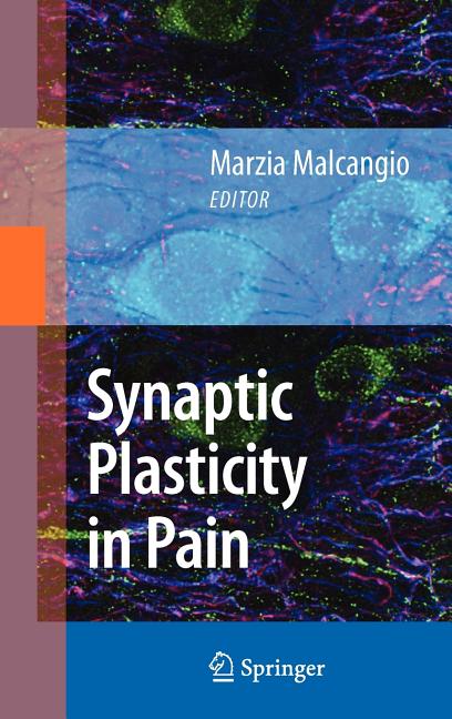 Synaptic Plasticity in Pain (2009) - Ingram