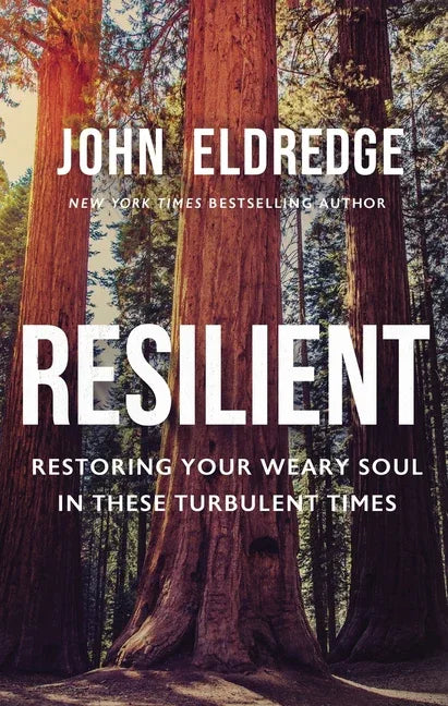 Resilient: Restoring Your Weary Soul in These Turbulent Times - stevensbooks