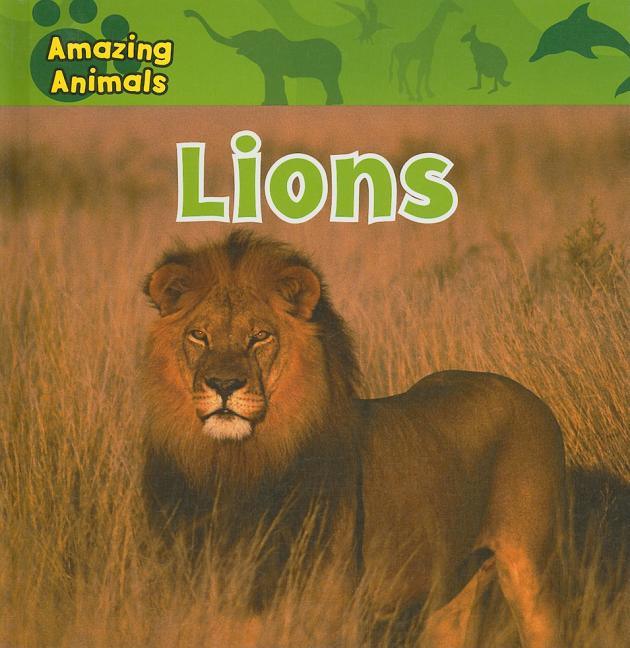 Lions - stevensbooks