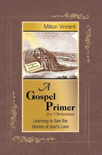 Gospel Primer for Christians: Learning to See the Glories of God's Love - stevensbooks