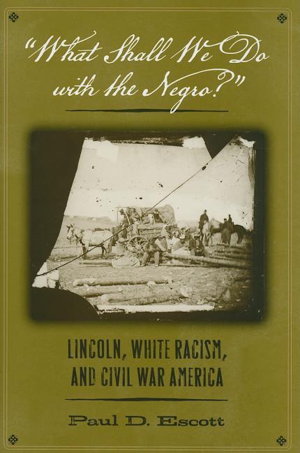 What Shall We Do with the Negro?: Lincoln, White Racism, and Civil War America - stevensbooks