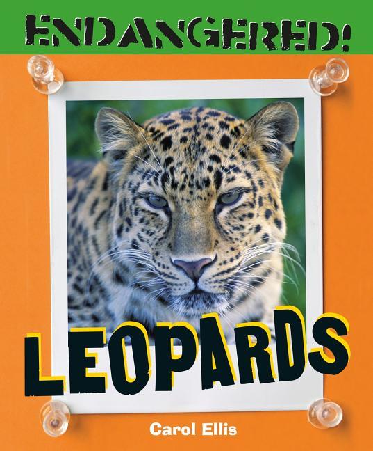 Leopards - stevensbooks