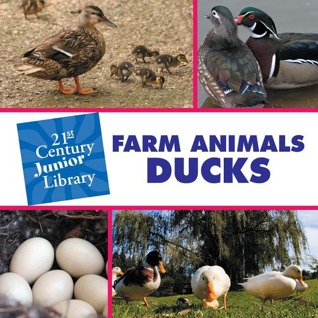 Farm Animals: Ducks - stevensbooks