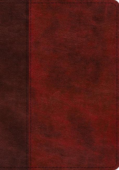 ESV Single Column Journaling Bible, Large Print (Trutone, Burgundy/Red, Timeless Design) - stevensbooks