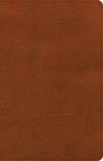 NASB Large Print Thinline Bible, Burnt Sienna Leathertouch - stevensbooks