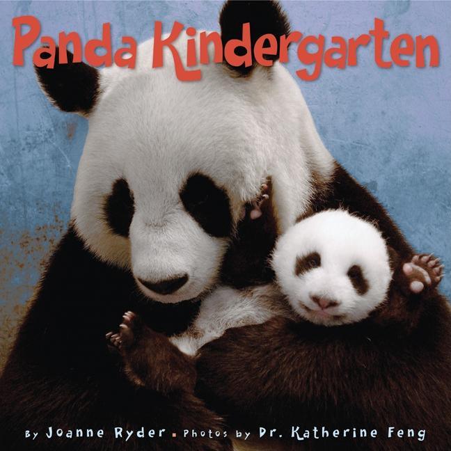 Panda Kindergarten - stevensbooks