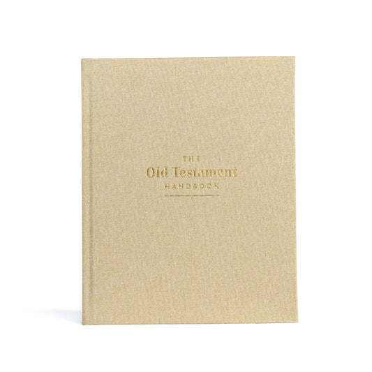 Old Testament Handbook, Sand Cloth Over Board: A Visual Guide Through the Old Testament - Ingram