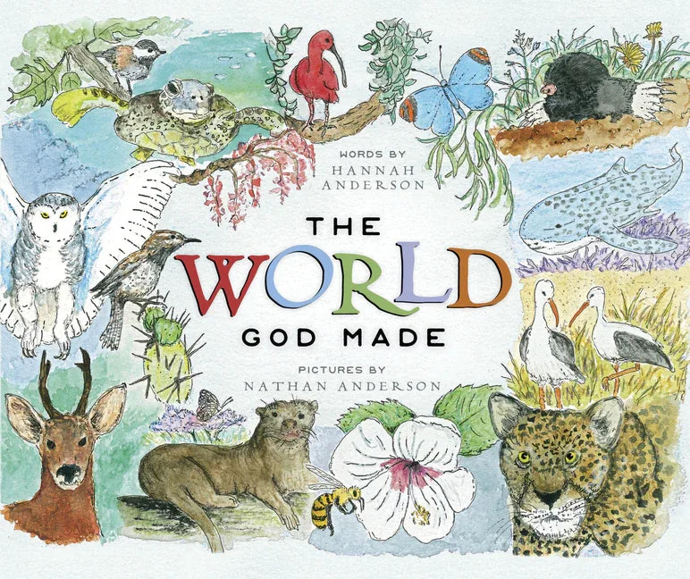World God Made - stevensbooks