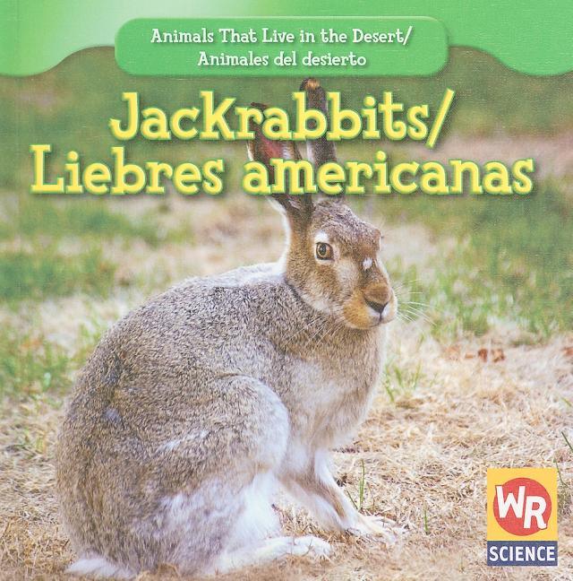 Jackrabbits / Liebres Americanas - stevensbooks