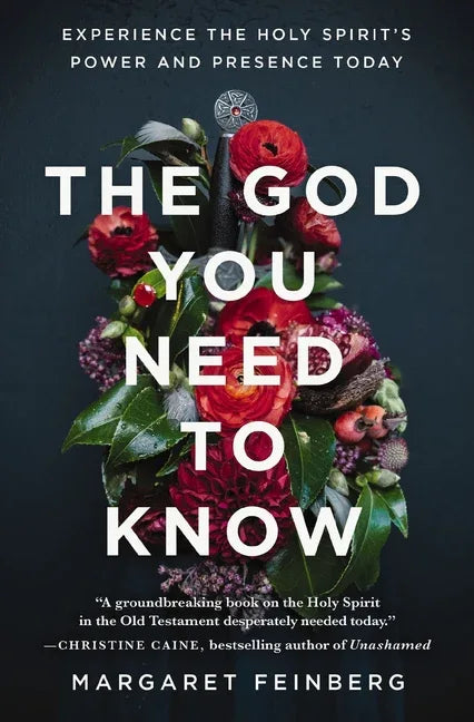God You Need to Know: Experience the Holy Spirit's Power and Presence Today - stevensbooks