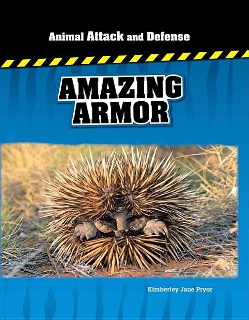 Amazing Armor - stevensbooks