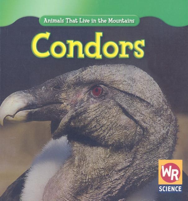 Condors - stevensbooks