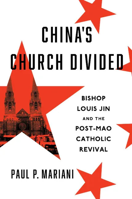 China's Church Divided: Bishop Louis Jin and the Post-Mao Catholic Revival - stevensbooks