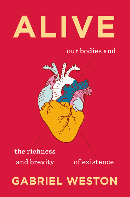 Alive: Our Bodies and the Richness and Brevity of Existence - Ingram