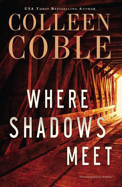 Where Shadows Meet: A Romantic Suspense Novel - stevensbooks