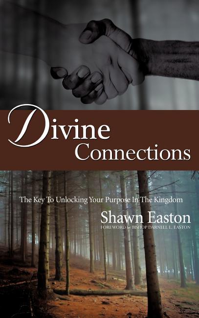 Divine Connections - stevensbooks