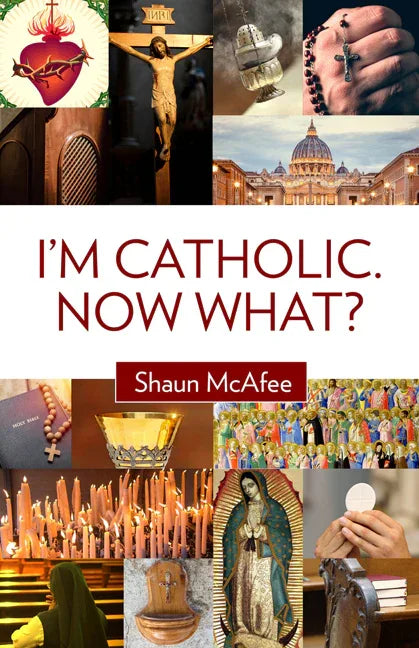 I'm Catholic. Now What? - stevensbooks