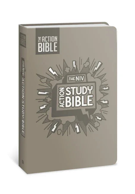 NIV Action Study Bible, Leathersoft, Gray, Full Color (Premium) - stevensbooks