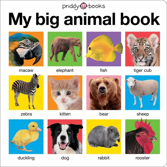 My Big Animal Book - stevensbooks