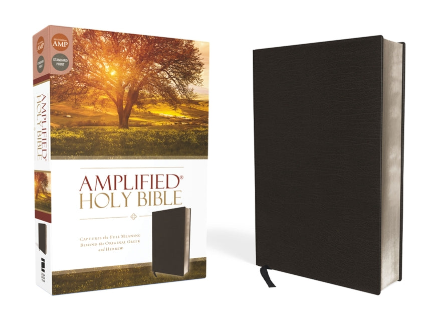 Amplified Bible-Am: Captures the Full Meaning Behind the Original Greek and Hebrew - Ingram