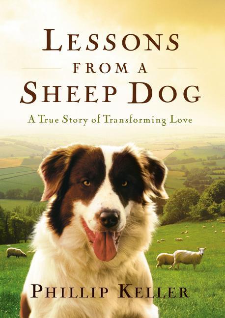 Lessons from a Sheep Dog - stevensbooks