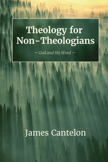 Theology for Non-Theologians - stevensbooks