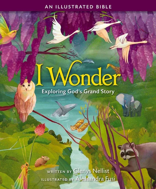 I Wonder: Exploring God's Grand Story: An Illustrated Bible - stevensbooks