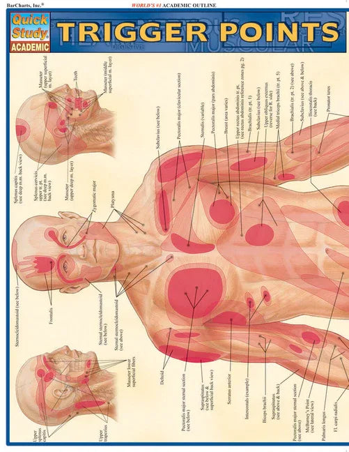 Trigger Points: Quickstudy Laminated Reference Guide (Quickstudy Academic) - stevensbooks