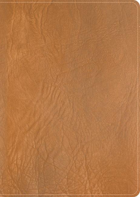 CSB He Reads Truth Bible, Holman Handcrafted Collection, Saddle Brown Premium Calfskin - stevensbooks