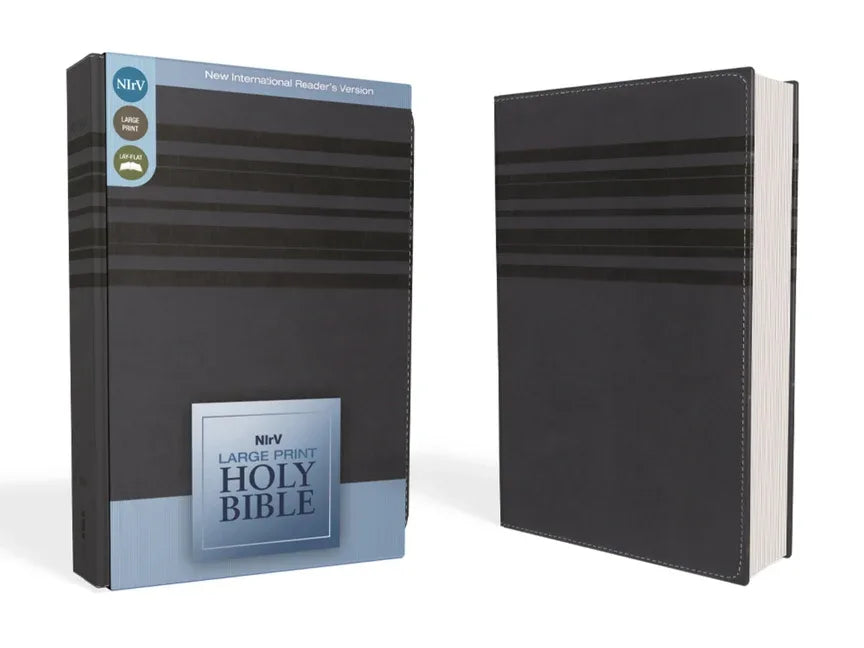 Large Print Bible-NIRV - stevensbooks