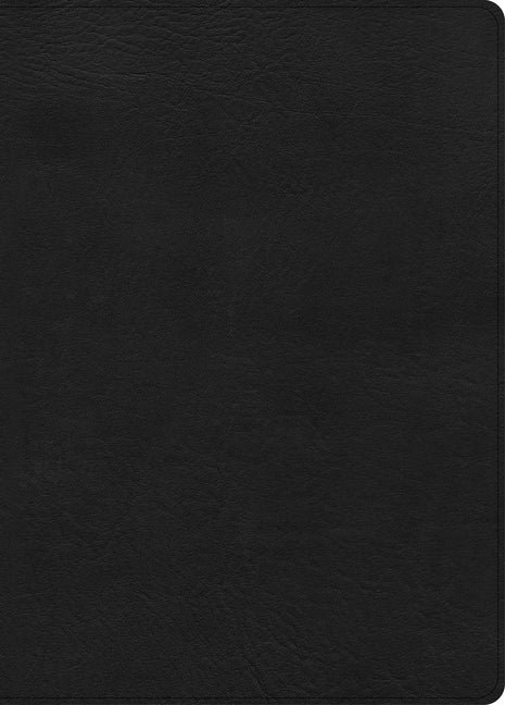 CSB Study Bible, Large Print, Digital Study Edition, Black Leathertouch, Indexed (, Digital Study) - Ingram