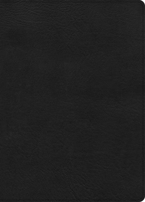CSB Study Bible, Large Print, Digital Study Edition, Black Leathertouch, Indexed (, Digital Study) - stevensbooks