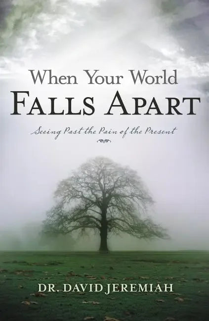 When Your World Falls Apart: See Past the Pain of the Present - stevensbooks
