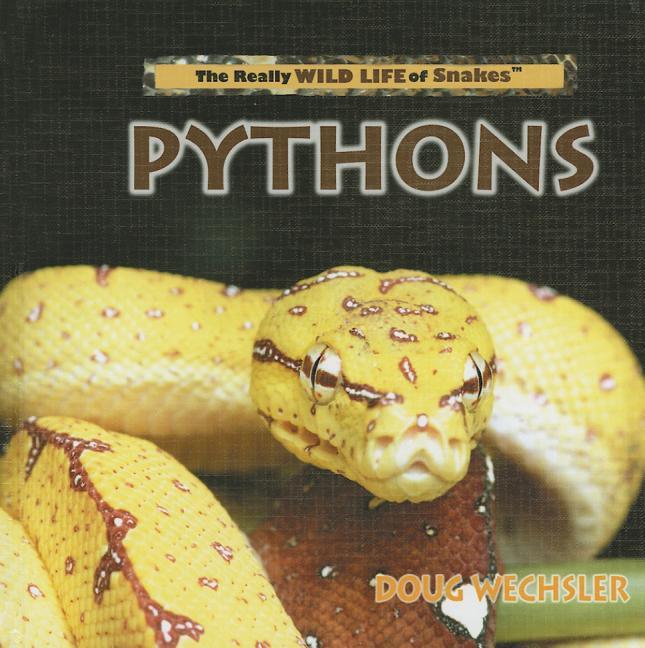 Pythons - stevensbooks