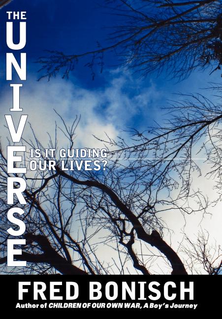 Universe, is it Guiding Our Lives? - Ingram