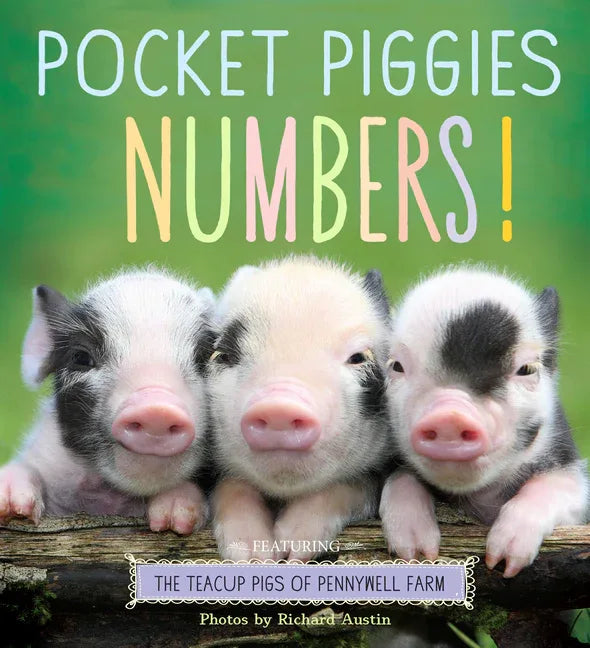 Pocket Piggies Numbers!: Featuring the Teacup Pigs of Pennywell Farm - stevensbooks