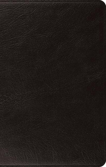 ESV Large Print Thinline Bible (Black) - stevensbooks