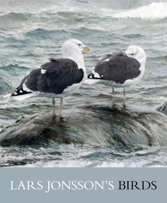 Lars Jonsson's Birds: Paintings from a Near Horizon - Ingram
